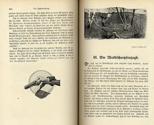 Jagd Wald Waidwerk Jäger Praxis Prüfung Waffenkunde Lehrbuch 1922