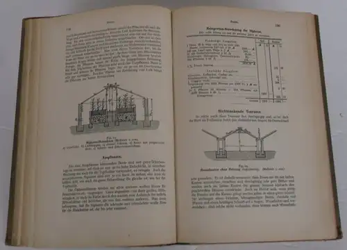 Gartenbau Gewächshaus Freiland Blumenzucht Vermarktung Vertrieb 1921