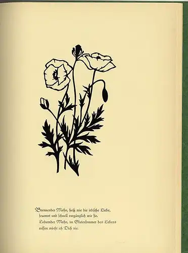 Kunst Handwerk Scherenschnitt Wiesen Garten Blumen Schwindt 1934