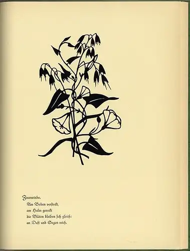 Kunst Handwerk Scherenschnitt Wiesen Garten Blumen Schwindt 1934