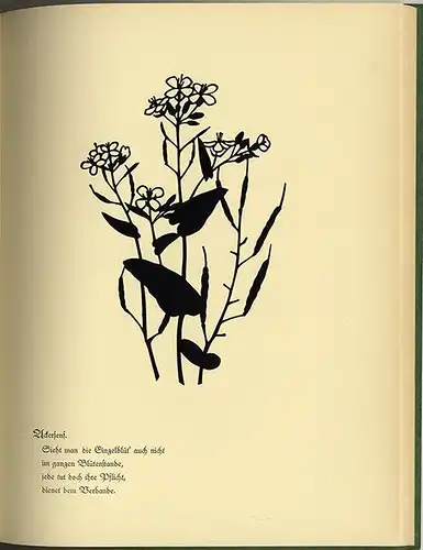 Kunst Handwerk Scherenschnitt Wiesen Garten Blumen Schwindt 1934