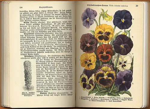 Garten Obstbau Blumenzucht Gemüse Düngung Schädlinge Ernte Fachbuch 1930