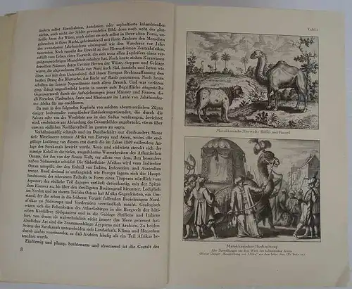 Afrika Kolonien Wüste Sahara Reisen deutscher Forscher Rohlfs Barth Buch 1931