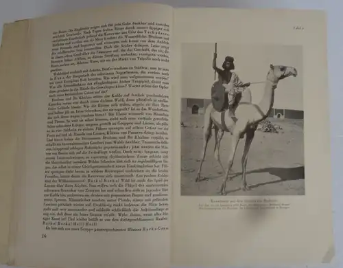 Afrika Kolonien Wüste Sahara Reisen deutscher Forscher Rohlfs Barth Buch 1931
