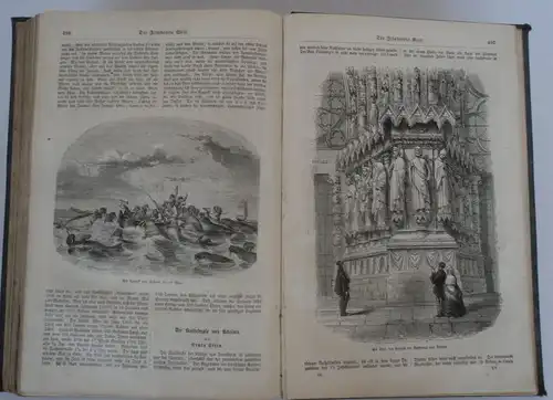 Illustrierte Welt Natur Leben Wissenschaft Familien Zeitschrift Stuttgart 1863