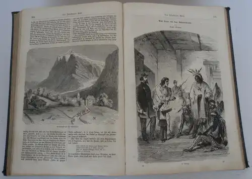 Illustrierte Welt Natur Leben Wissenschaft Familien Zeitschrift Stuttgart 1863