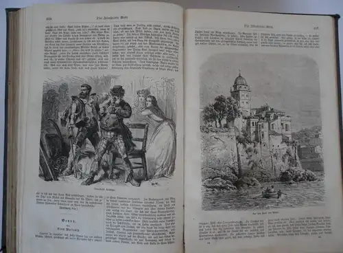 Illustrierte Welt Natur Leben Wissenschaft Familien Zeitschrift Stuttgart 1863