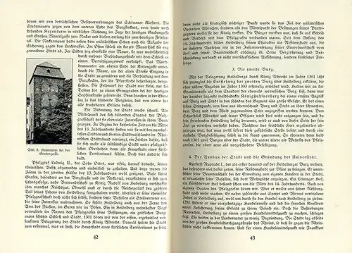 Heidelberg Neckar Natur Stadt Geschichte Vororte Schloss Universität Buch 1931