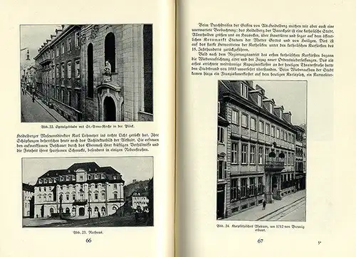 Heidelberg Neckar Natur Stadt Geschichte Vororte Schloss Universität Buch 1931