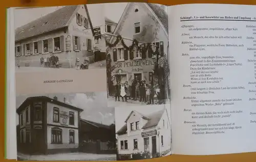 Hessen Main Offenbach Bieber Stadt Geschichte alte Postkarten Heimatbuch 1991