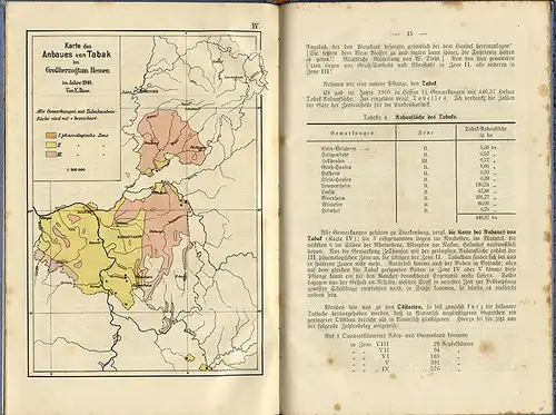 Großherzogtum Hessen Darmstadt Klima Wetter Frühlingseinzug Obstbau Buch 1911
