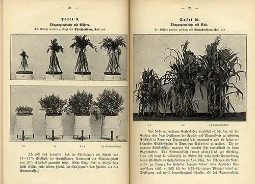 Garten Obst Gemüse Anbau Blumen Zucht künstliche Düngung Düngemittel Buch 1893