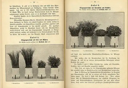 Garten Obst Gemüse Anbau Blumen Zucht künstliche Düngung Düngemittel Buch 1893