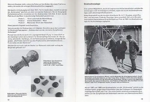 Hessen Bergstraße Archäologie Geschichte Ausgrabung Bullenwiese Bickenbach 1977