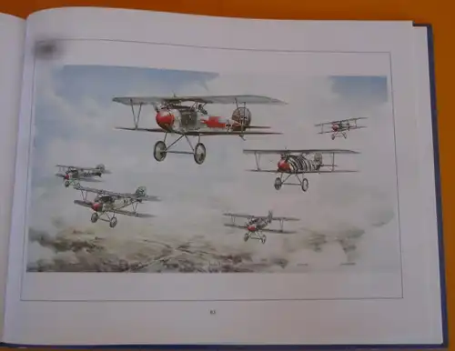 Weltkrieg Luftwaffe Flugzeug Bilder Malerei Claus Friedel Wülfing Buch 2003