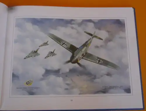 Weltkrieg Luftwaffe Flugzeug Bilder Malerei Claus Friedel Wülfing Buch 2003