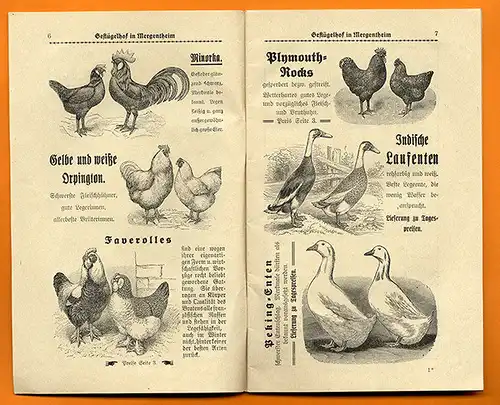 Chemie Medizin Zigaretten Tabak Nikotin Entstehung Wirkung Buch 1939