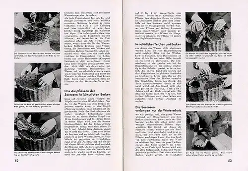 Gartenbau Architektur Wasserbecken Teichbau Bepflanzung Buch 1932