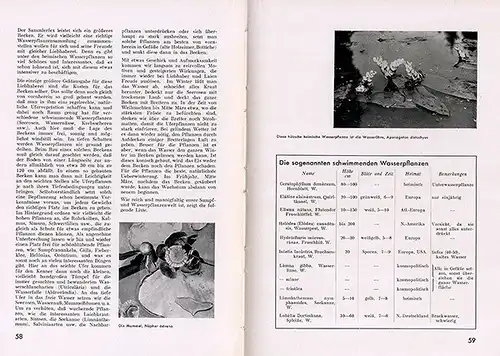 Gartenbau Architektur Wasserbecken Teichbau Bepflanzung Buch 1932