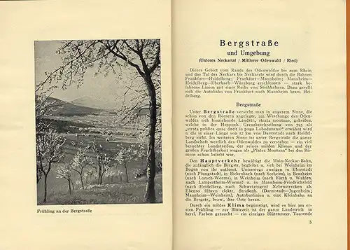 Hessen Bergstraße Odenwald Neckartal Wanderbuch illustriert von Barth 1942