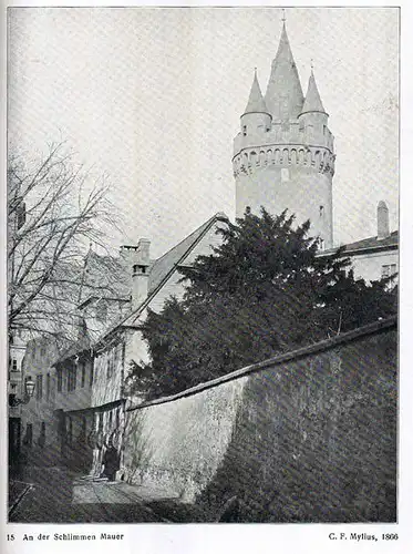 Hessen Frankfurt Main Vororte Stadtteile Geschichte Foto Bildband 1924