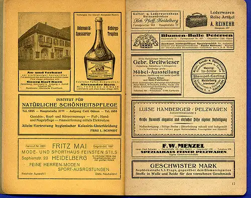 Heidelberg Neckar Eberbach Odenwald Bergstraße Lorsch Wanderbuch 1920