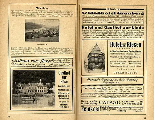 Heidelberg Neckar Eberbach Odenwald Bergstraße Lorsch Wanderbuch 1920