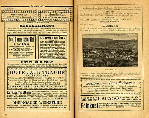 Heidelberg Neckar Eberbach Odenwald Bergstraße Lorsch Wanderbuch 1920