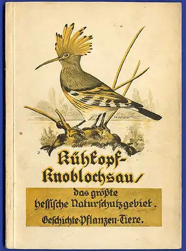 Hessen Alt Rhein Ried Kühkopf Naturschutz Tiere Pflanzen Vögel Ökologie 1952