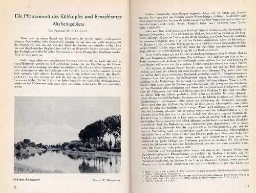 Hessen Alt Rhein Ried Kühkopf Naturschutz Tiere Pflanzen Vögel Ökologie 1952