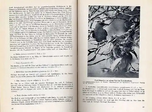 Hessen Alt Rhein Ried Kühkopf Naturschutz Tiere Pflanzen Vögel Ökologie 1952