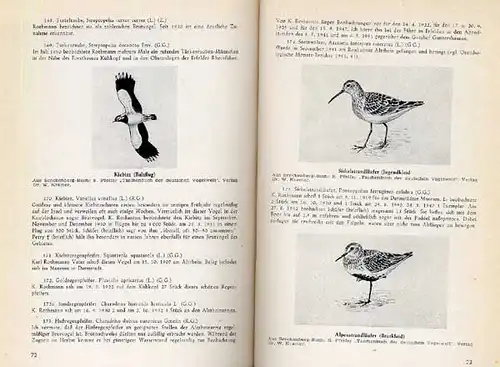 Hessen Alt Rhein Ried Kühkopf Naturschutz Tiere Pflanzen Vögel Ökologie 1952