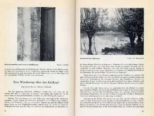 Hessen Alt Rhein Ried Kühkopf Naturschutz Tiere Pflanzen Vögel Ökologie 1952