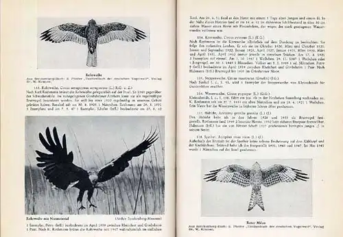 Hessen Alt Rhein Ried Kühkopf Naturschutz Tiere Pflanzen Vögel Ökologie 1952