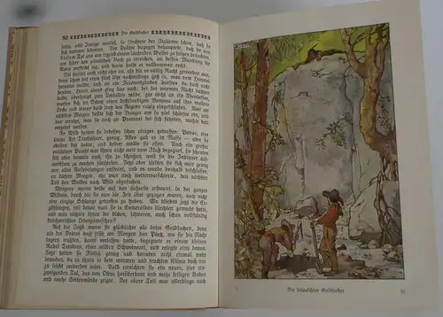 Friedrich Gerstäcker Indianer Goldsucher Wildwest Abenteuer Geschichten