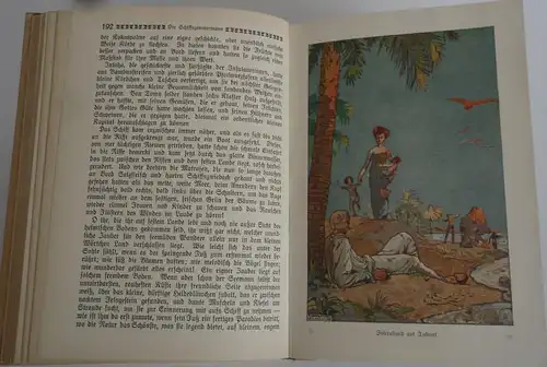 Friedrich Gerstäcker Indianer Goldsucher Wildwest Abenteuer Geschichten