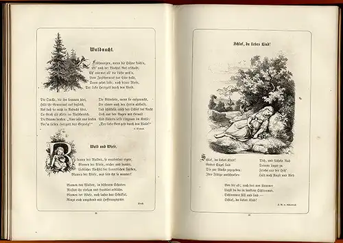 Literatur Deutsche Lyrik für Mädchen Frauen Lieder Romanzen Prachtband 1866