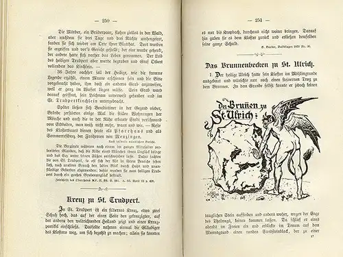 Baden Freiburg Breisgau Feldberg Heimat Geschichte Sagen Buch 1899