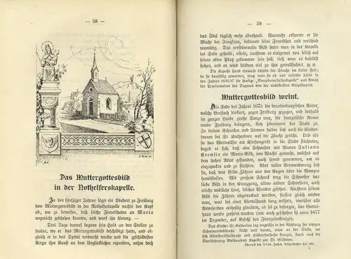 Baden Freiburg Breisgau Feldberg Heimat Geschichte Sagen Buch 1899