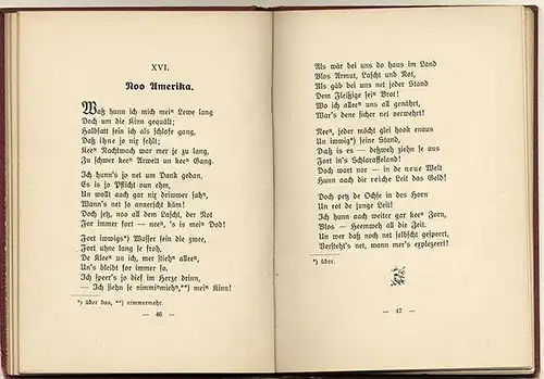 Pfalz Kaiserlautern Verse Gedichte in Mundart Richard Müller Buch 1909  