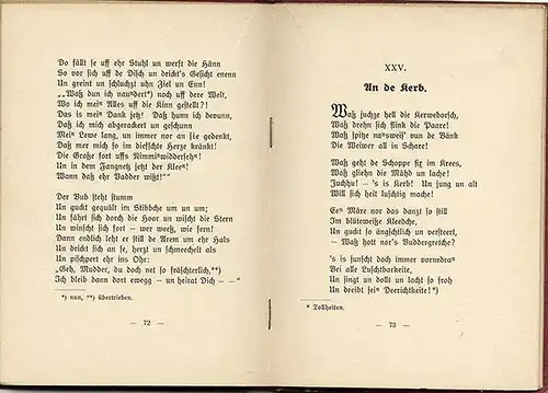 Pfalz Kaiserlautern Verse Gedichte in Mundart Richard Müller Buch 1909  