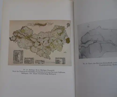 Hessen Büdingen Grafschaft Ysenburg Jagd und Forstgeschichte Buch 1974