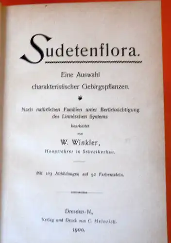 Böhmen Sudeten Gebirge Botanik Pflanzen Blumen Kräuter Bildtafel Band von 1900