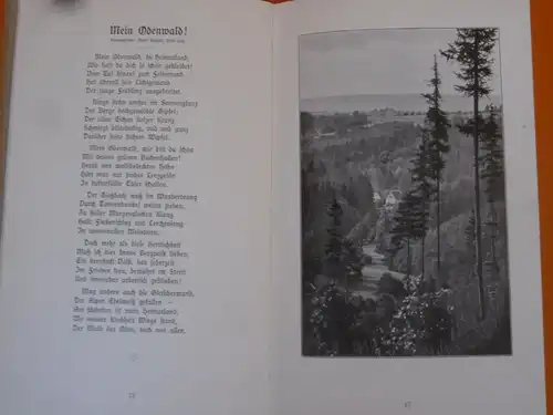 Hessen Odenwald Neckar Heimat Liederbuch Karl Schäfer Buch 1912