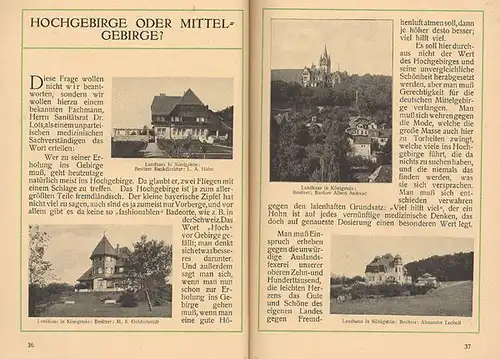 Hessen Taunus Stadt und Burg Königstein Geschichte Jugendstil Reiseführer 1910