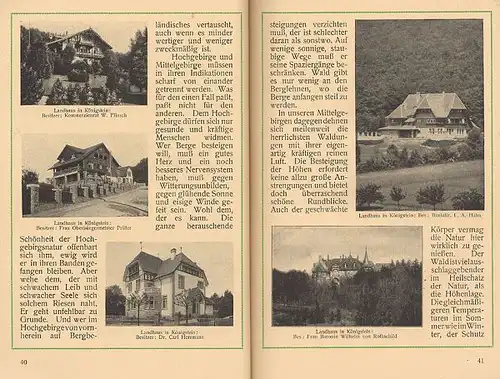 Hessen Taunus Stadt und Burg Königstein Geschichte Jugendstil Reiseführer 1910