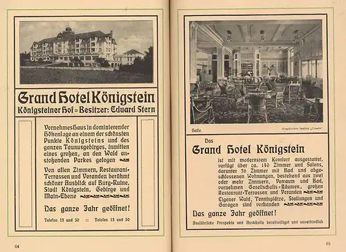 Hessen Taunus Stadt und Burg Königstein Geschichte Jugendstil Reiseführer 1910