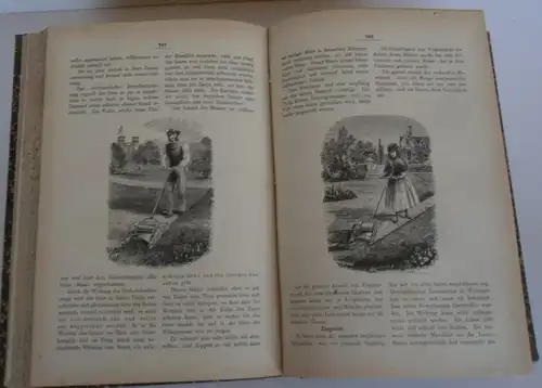 Stuttgart Obst Blumen Gartenbau Deutsches Garten Magazin 1872
