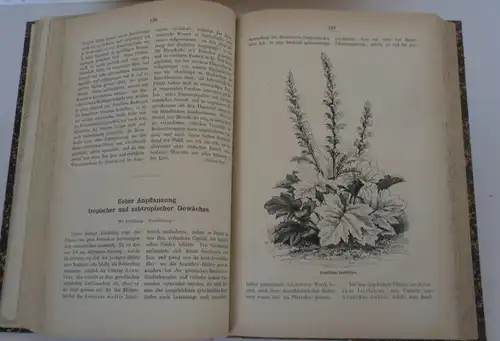 Stuttgart Obst Blumen Gartenbau Deutsches Garten Magazin 1872