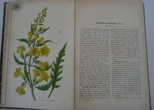 Stuttgart Obst Blumen Gartenbau Deutsches Garten Magazin 1872